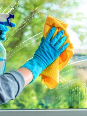 How_to_Clean_Windows