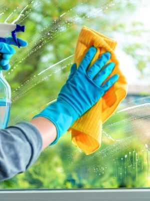 How_to_Clean_Windows How_to_Clean_Windows